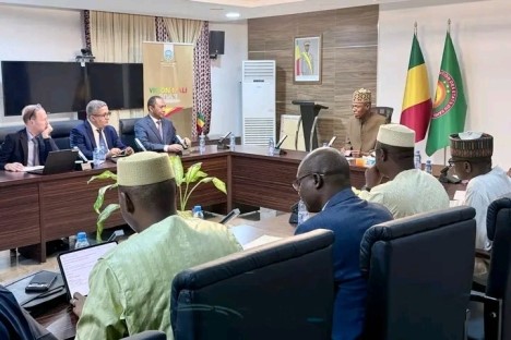 MALI–FMI 
