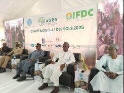 REGION DES KOULIKORO